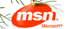 MSN Websearch