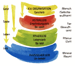 Die 4 Wesensglieder des Menschen (Quelle: www.naturdrogerie.ch)