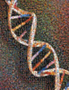 dna