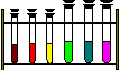 Experimentieren und informieren Sie sich im virtuellen Labor!