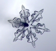 Schneekristall